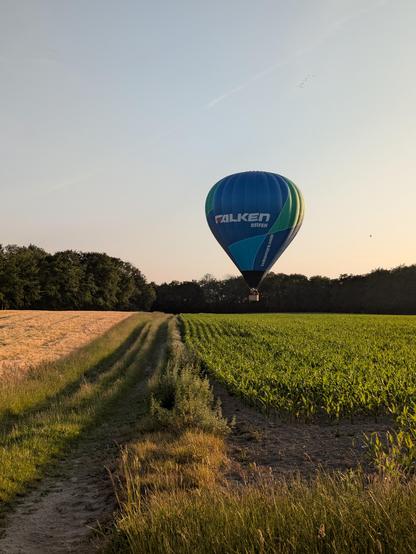 Foto. Heißluftballon im Landeanflug auf einem Getreidefeld.