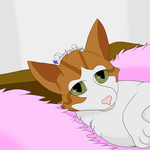 An orange and white cat with green eyes and a pink nose lying on a pink blanket.