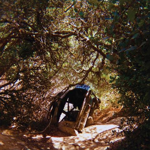 An image of the cover of the album 'Possession' by Ty Segall