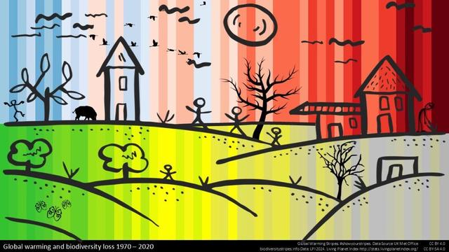 #ShowYourStripes #BiodiversityStripes
Global Warming and Biodiversity Loss (1970-2020) : https://biodiversitystripes.info/globalbiowarming/landscape

#ShowYourStripes #BiodiversityStripes #GlobalWarming #WarmingStripes #ClimateEmergency #FindingNature https://findingnature.org.uk