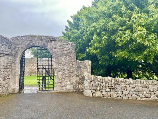 Old castle gate with a lush tree behind a wall