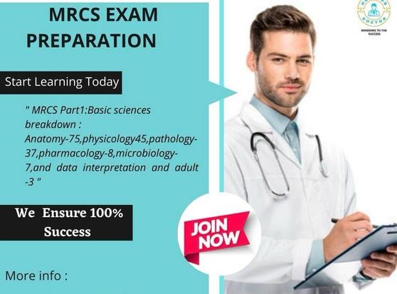 https://docsmasters.com