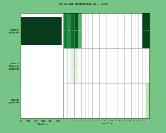 Diagramm der Fledermäuse vom 21.06.2025