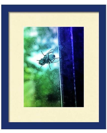 Housefly sitting on the window - watercolor painting effect in blue and green
