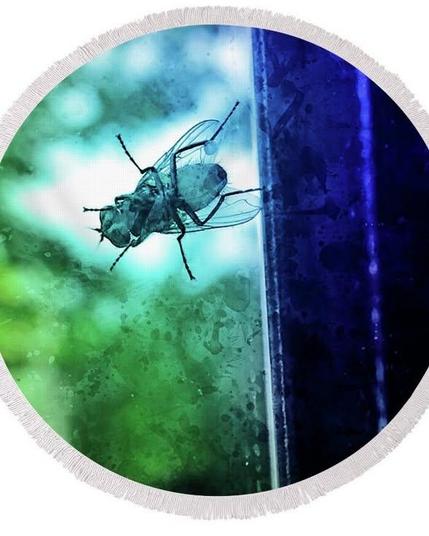 Housefly sitting on the window - watercolor painting effect in blue and green
