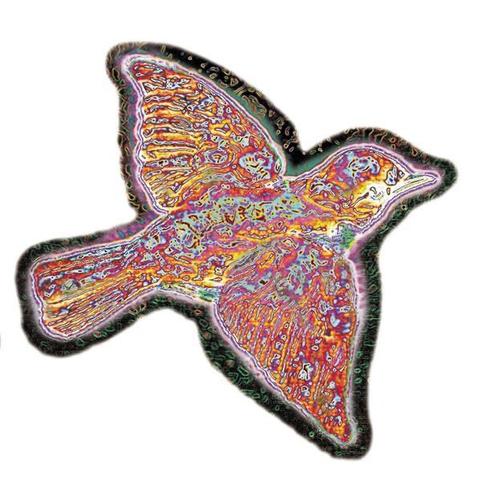 An image of the cover of the album 'Til the Medicine Takes' by Widespread Panic
