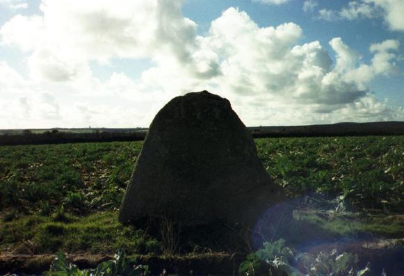 A colour photo of the Kerris Menhir in Cornwall, a relatively small, but wide and thick, triangular prehistoric standing stone standing in a field full of leafy crops beneath a gorgeous blue sky full of white fluffy clouds. A hedge lies across the centre of the photo in the middle distance. A thin sliver of fields and low hills in the distance can just be seen above this hedge, with the tower of Sancreed Church just to the left of the menhir. It lies close to the Kerris Roundago, a reputed Iron Age fort, and a couple of ancient Cornish crosses. A large multiple lens flare is to the bottom right.