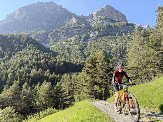 Cyclist in black bib shorts, red striped jersey, purple helmet, riding a bright yellow mountain bike. He's riding up a gravel path through a green meadow. In the background, green pine trees, and mountains/rock formation above the trees.