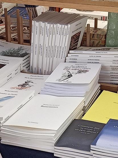 Livre de jacinthe mazzocchetti au-dessus des marécages les oiseaux sur le stand de la librairie Wallonie-Bruxelles