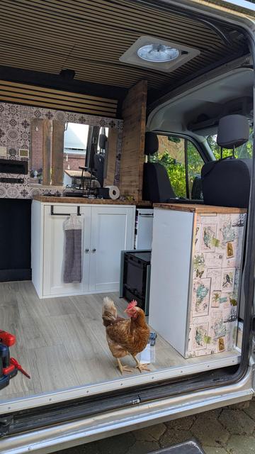 Campervan im Ausbau mit einer Henne die mich besuchen kommt
