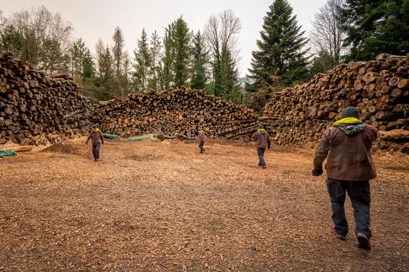 Ein grosses Holzlager mit liegenden Baumstämmen im Halbkreis; der Boden ist mit Holzspänen belegt. Der Fotograf dreht in der "Arena" eine Runde. 