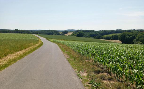 Hilly landscape of fields in the foreground and some wood in the background. A paved road towards the horizon.