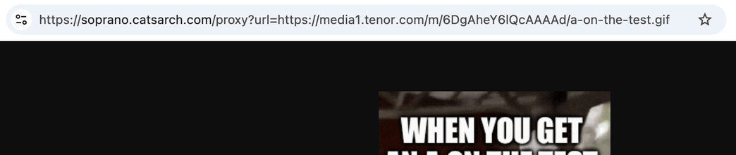 Browser location bar showing "https://soprano.catsarch.com/proxy?url=https://media1.tenor.com/m/6DgAheY6lQcAAAAd/a-on-the-test.gif"