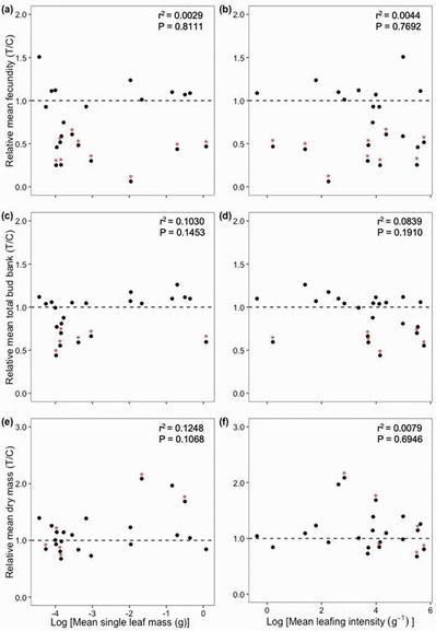 Between-species (n = 22) relationships for mean single leaf dry mass (a, c, e), and for mean leafing intensity (b, d, f)—both recorded from control plants—versus relative mean values (under treatment [T] versus control [C] conditions) for fecundity (a, b), total bud bank (c, d) and total vegetative dry mass (e, f), respectively.