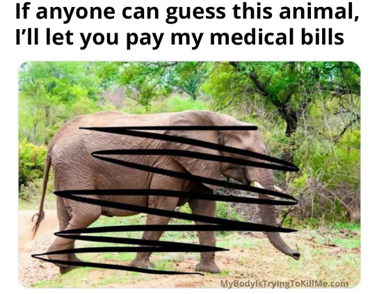 If anyone can guess this animal, I'll let you pay my medical bills

[a pic of an elephant scribbled out]