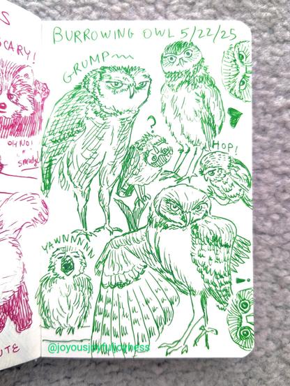 Photo of a sketchbook page of green pen drawings of Burrowing Owls. There are 8 owls on the page. The top has the text Burrowing Owls 5/22/25. The top left has a drawing of a grumpy owl with the word GRUMP written above it. To the right there is an owl with its head cocked and a question mark above it. To the right of that, there is an owl standing and looking at the viewer, and below that is a hopping owl with the word HOP! At the bottom left is a small yawning owl with the word YAWNNNN written above it. To the right is a posing owl with its wing out and a sassy expression. Along the right page edge are two peeking owls with an exclamation point and a heart next to them.