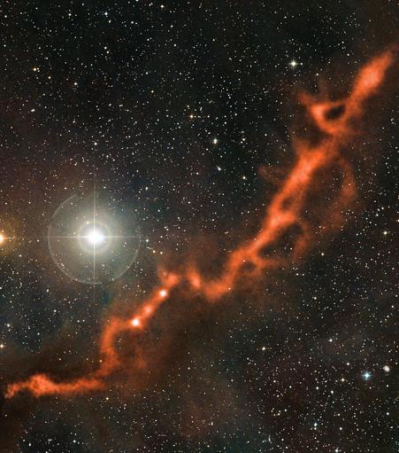This image from the APEX telescope, of part of the Taurus Molecular Cloud, shows a sinuous filament of cosmic dust more than ten light-years long. In it, newborn stars are hidden, and dense clouds of gas are on the verge of collapsing to form yet more stars. The cosmic dust grains are so cold that observations at submillimetre wavelengths, such as these made by the LABOCA camera on APEX, are needed to detect their faint glow. This image shows two regions in the cloud: the upper-right part of the filament shown here is Barnard 211, while the lower-left part is Barnard 213.