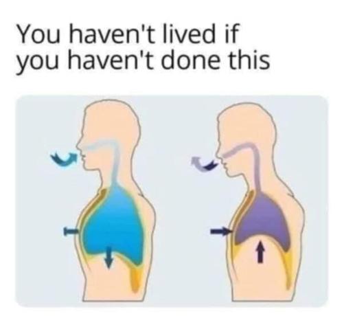 You haven't lived if you haven't don this

[a diagram showing a body inhaling and a body exhaling]