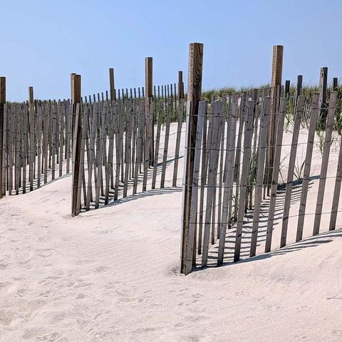 A series of wooden sand fences stretch across a sunlit beach, casting long shadows on the pale, rippled sand. Grasses peek through the dunes in the background under a clear blue sky.