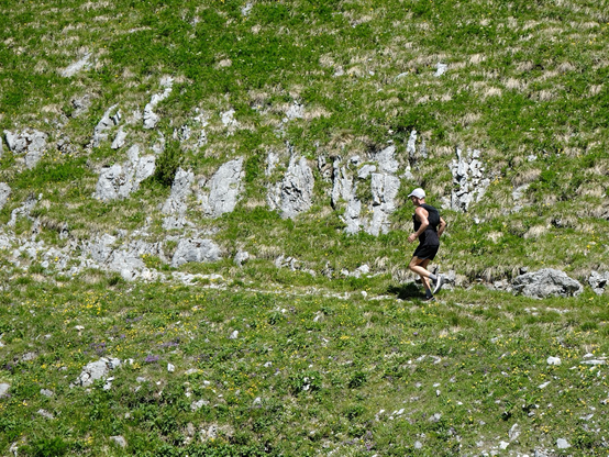 I run across a rocky slope. Lots of green grass and small plants all around.