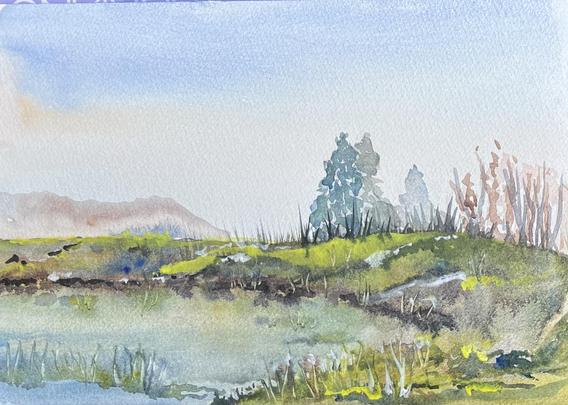 This watercolor shows a small man made pond. In the background there’s a faint hill behind an earthen dam a few pines grow in the distance. In the foreground there’s a level piece of ground.  The whole scene is filled with weeds. 