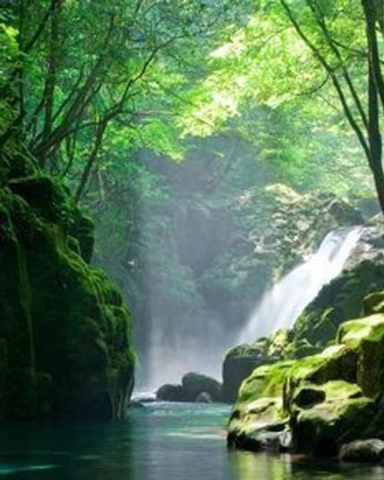 Image having green trees and waterfall..