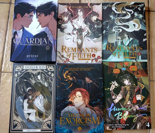 Sechs Bücher in zwei Reihen ausgebreitet, Guardian, Remnants of Filth Nr 5&6, Angels & Man, Legend of Exorcism Band 2, Heaven officials Blessing Manga Band 4