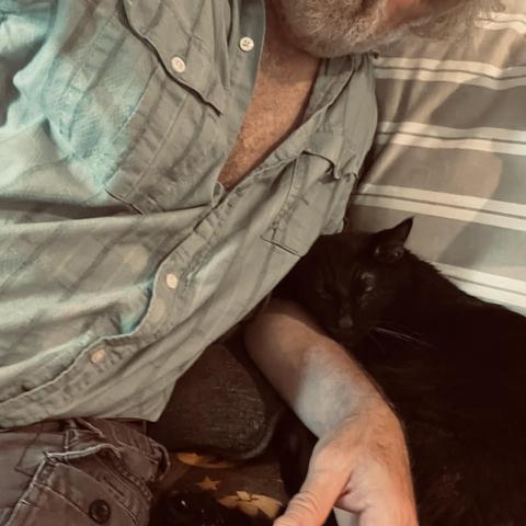 a black cat sleeps against the arm of a man in a green shirt