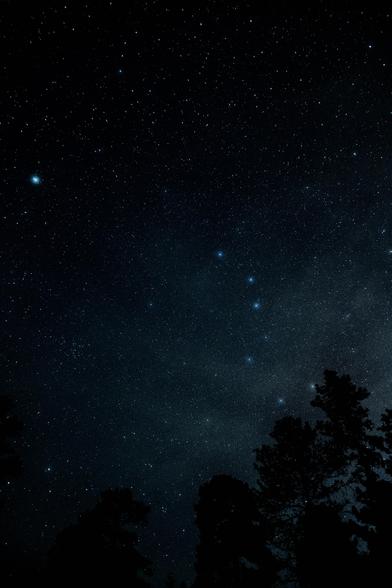 A long-exposure night sky photograph showing the Big Dipper constellation above the silhouettes of pine trees, with a dense field of stars visible against a deep blue-black sky.