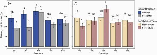 There were significant interactions between genotype and drought treatment (a), and between genotype and genotypic richness (b) on the above-ground biomass of Andropogon gerardii in 2012.