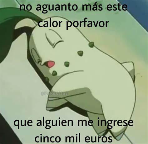 Foto de chikorita tirada. Con el texto: no aguanto más este calor, por favor que alguien me ingrese cinco mil euros
