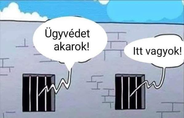 🇭🇺 
“I want a lawyer! – I’m here!”
#cartoon #cartoons #humor #humour #fun #prison #hungary #hungarian #languages #jazykysveta 