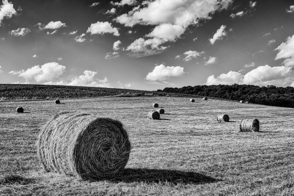 Balle de foin, paysage noir et blanc, avec un ciel nuageux