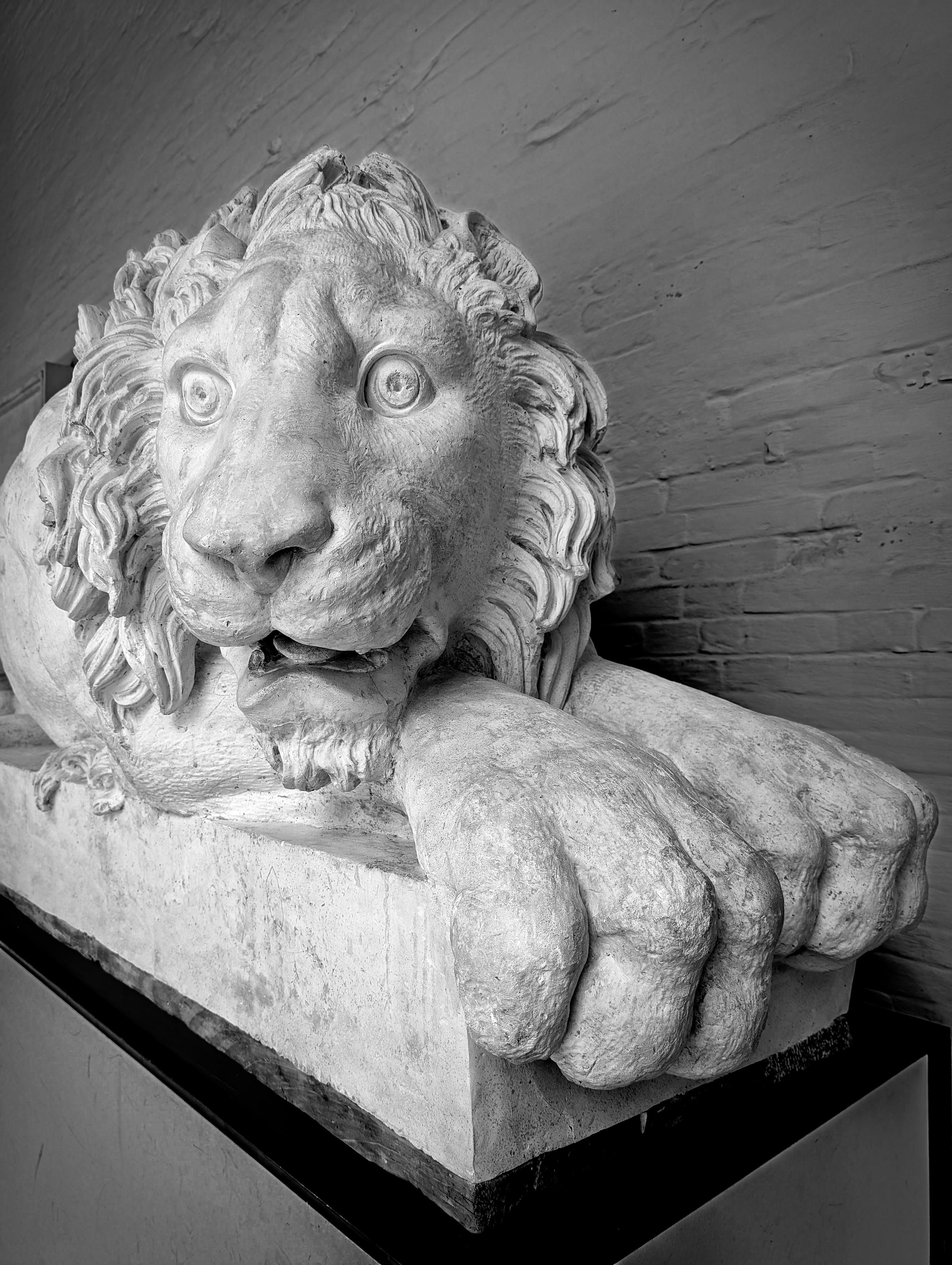 A marble sculpture of a lion at the Academic Art Museum in Venice. It looks shocked and a little surprised.