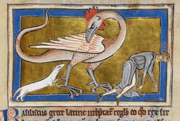 A very large and fierce-looking white basilisk with a bird body, snake tail and long snake neck with a bird head sporting a red comb and wattle glaring at a white weasel on the left while a blue clad figure appears to be dying from the basilisk's look on the right.