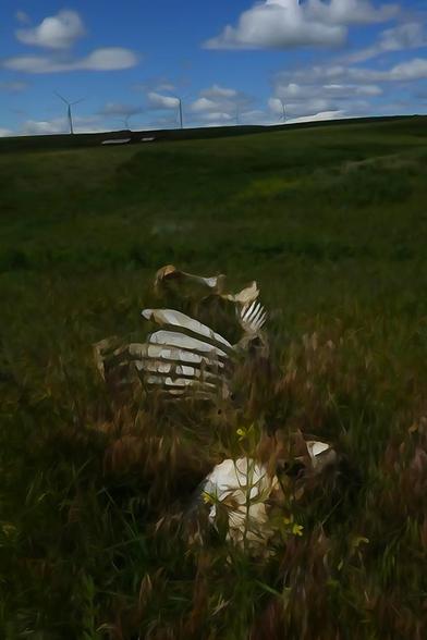 watercolor rendition of a green grassy field with a cow skeleton partially obscured, under a blue sky with puffy white clouds