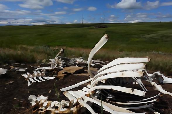 watercolor rendition of a green grassy field with a cow skeleton partially obscured, under a blue sky with puffy white clouds
