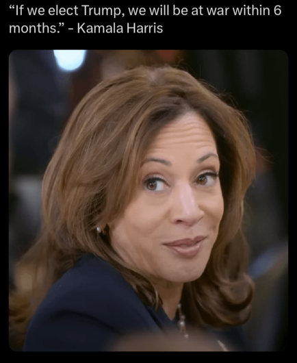 Meme of Kamala Harris. The caption reads, “If we elect [The Orange 🤡 ] we will be at war within 6 months.” —Kamala Harris