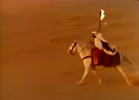 a desert warrior