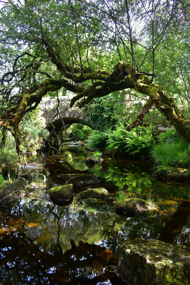 A granite bridge and a mossy willow arch over a stream.