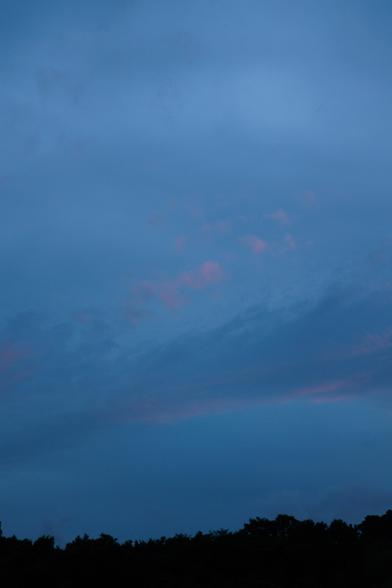 A tranquil twilight sky with soft blue hues and scattered pink clouds, silhouetted by dark treetops below.