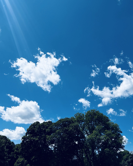 Wolken im Blau über grünem Laub 