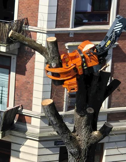 Moderne Baumfällung einer Ulme in Hamburg-Eimsbüttel