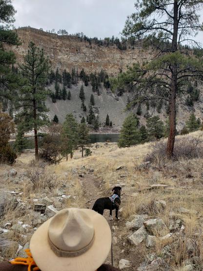 Ranger Sarah and BARK Ranger Mocha take in the early view of the Missouri River on the Missouri-Beaver Creek Trail.
— at Helena-Lewis and Clark National Forest
