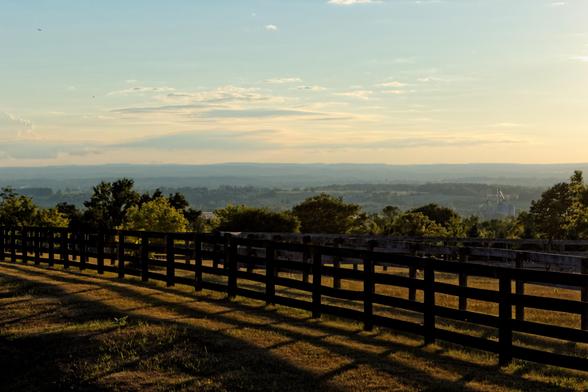 Paddock fencing overlooking a long view toward the Niagara Escarpment. Grain silos to centre right.