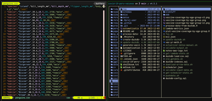 Showing Maple Mono font in vim and yazi. Font source: https://font.subf.dev/en/