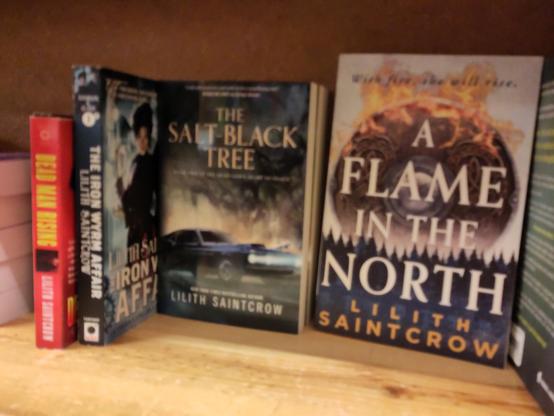 4 of her books blurrily on a shelf, some new, some used