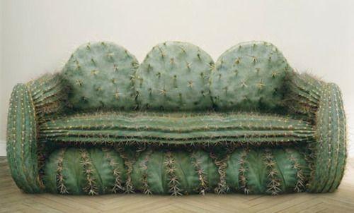 A photograph of a sofa made from giant cacti. Image attribution: adapted from https://web.archive.org/web/20161019040105/http://syllabusmagazine.com/here/southern-discomfort-from-an-attendees-perspective/