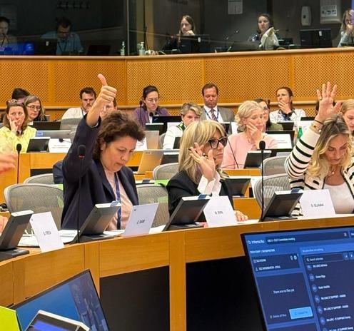Das Bild zeigt mich bei der Abstimmung im Kulturausschuss. 