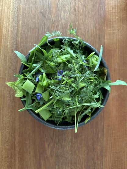 Blick in eine Schüssel voll Salat 